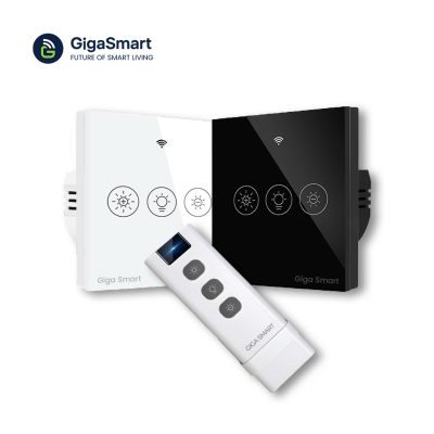 GigaSmart RF Light Dimmer Switch with Remote